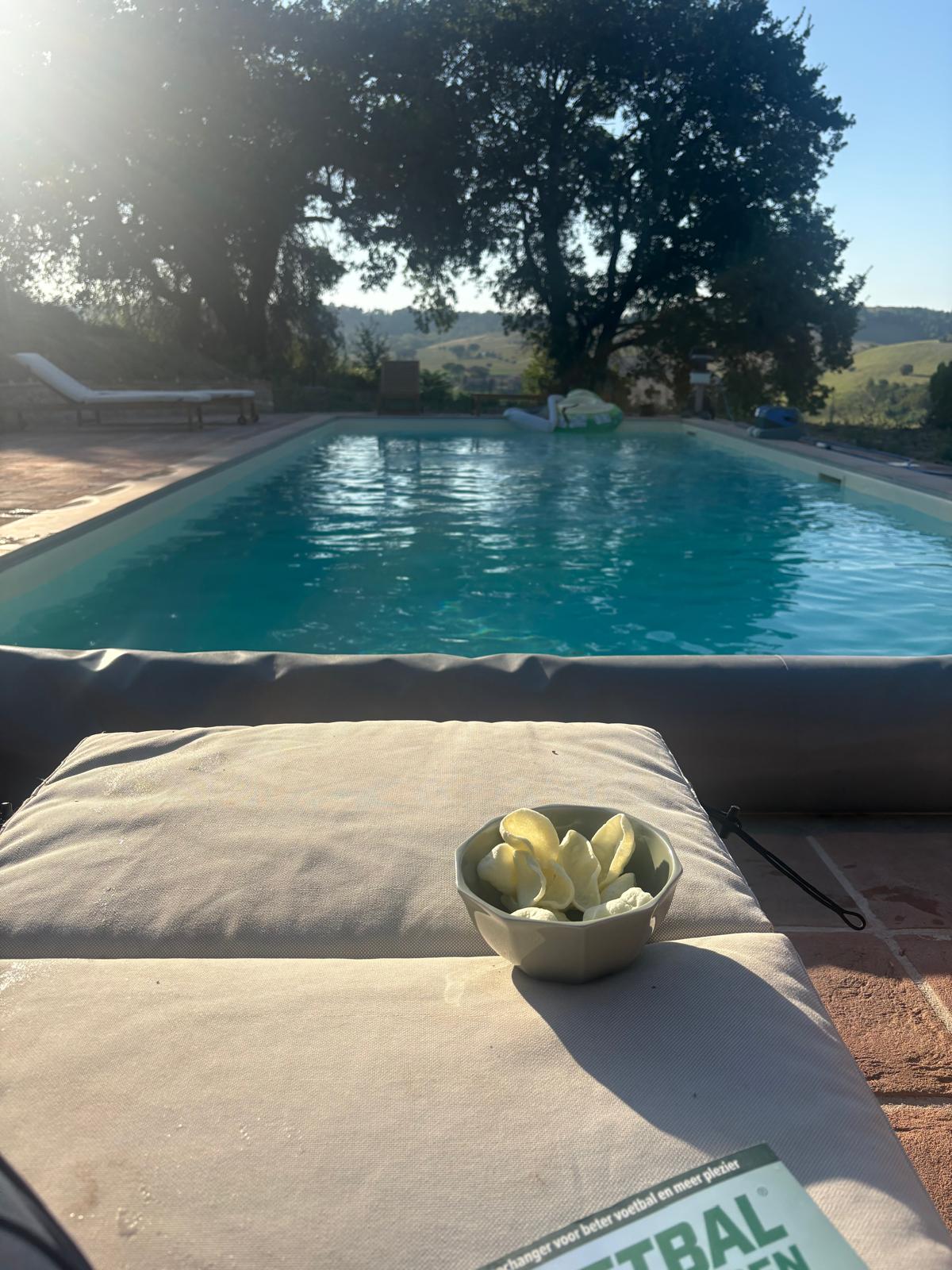 A lounger by the pool in low afternoon sun, olive trees behind